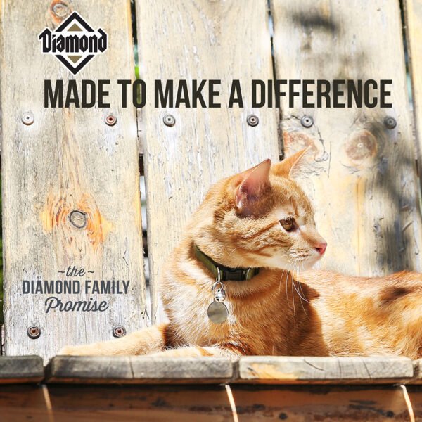 DIAMOND MAINTENANCE CAT 9kg - Image 4