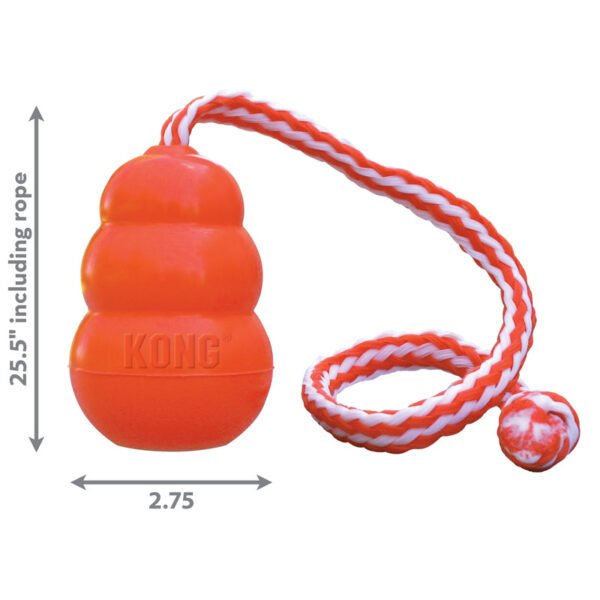 KONG AQUA - Image 4