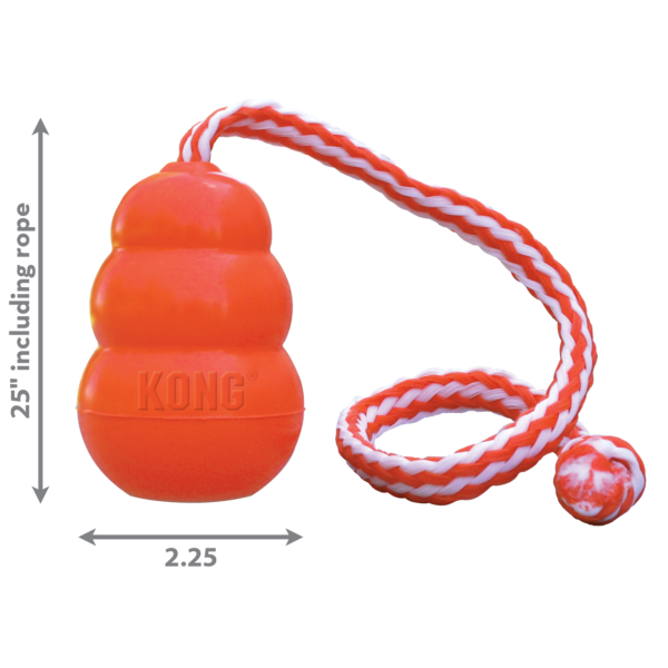 KONG AQUA - Image 3
