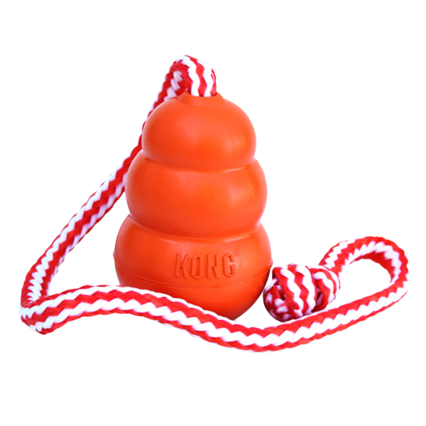 KONG AQUA - Image 2
