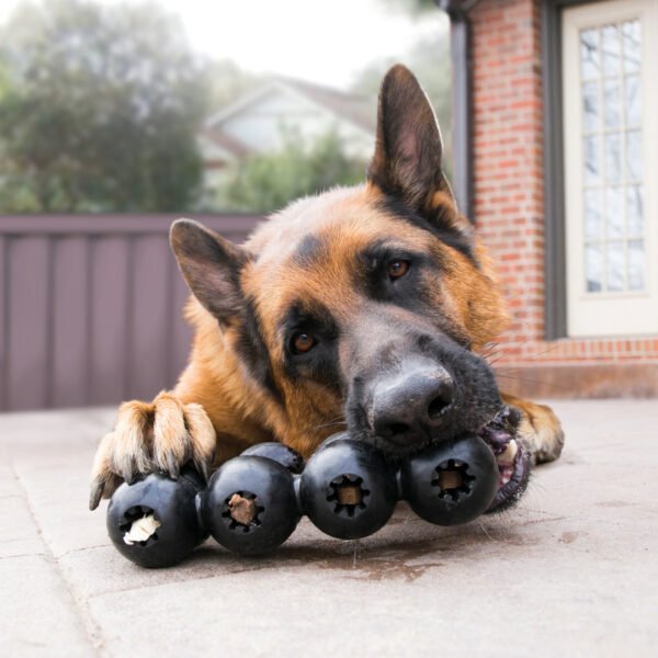 KONG EXTREME GOODIE RIBBON - Image 2