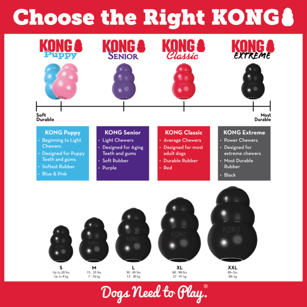 KONG EXTREME - Image 3