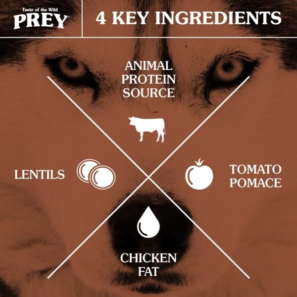 Angus Beef Limited Ingredient Recipe for Dogs 11.34KG - Image 5