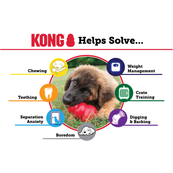 KONG EXTREME - Image 5