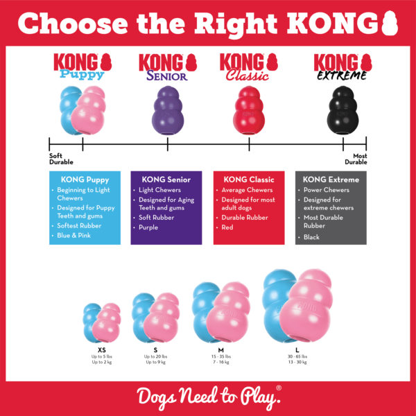 KONG PUPPY - Image 2
