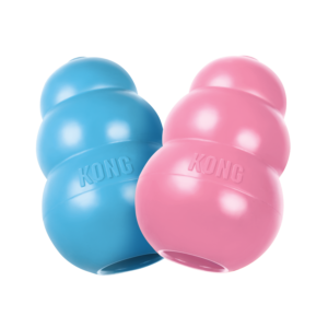 KONG PUPPY