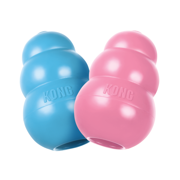 KONG PUPPY