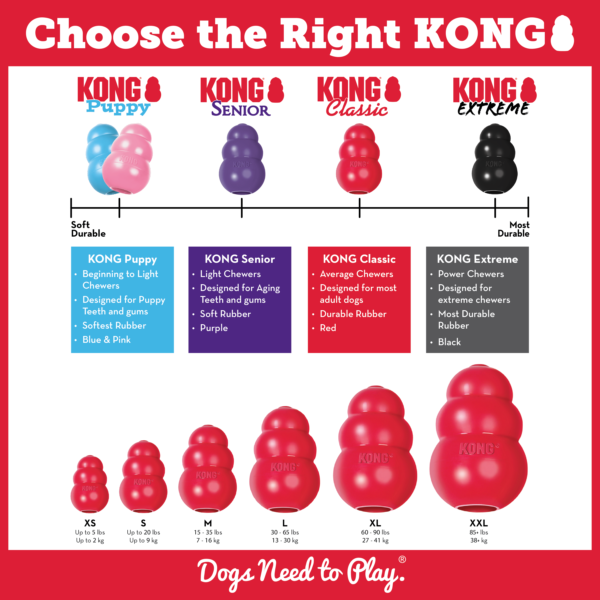 KONG CLASSIC - Image 2