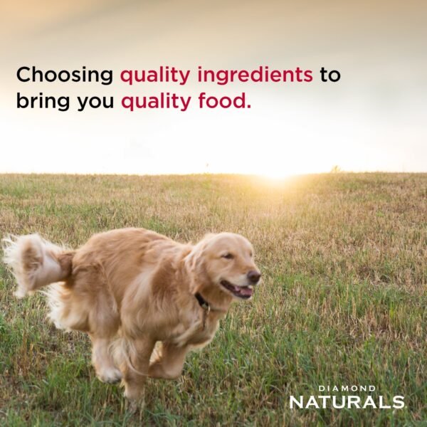 DIAMOND NATURALS ALL LIFE STAGES DOG CHICKEN & RICE FORMULA 15kg - Image 5