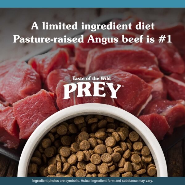 Angus Beef Limited Ingredient Recipe for Dogs 11.34KG - Image 4
