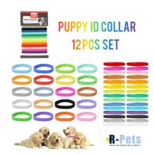 PUPPY ID COLLARS 12PCS SET